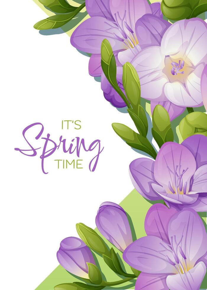 saludo tarjeta modelo con primavera flores bandera, póster con púrpura fresia ilustración de delicado flores en dibujos animados estilo para tarjeta, invitación, fondo, etc. vector