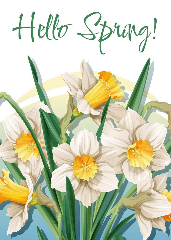 saludo tarjeta modelo con primavera flores bandera, póster con narcisos Pascua de Resurrección ilustración de delicado flores en dibujos animados estilo para tarjeta, invitación, fondo, etc. vector