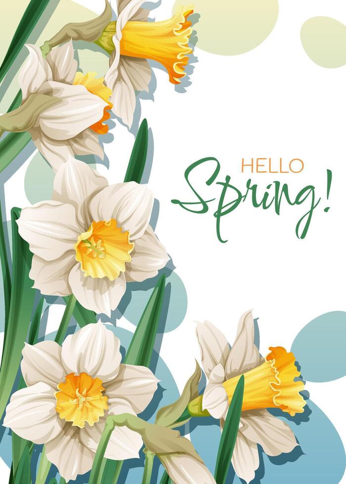 Greeting card template with spring flowers. Banner, poster with daffodils. Easter illustration of delicate flowers in cartoon style for card, invitation, background, etc. vector