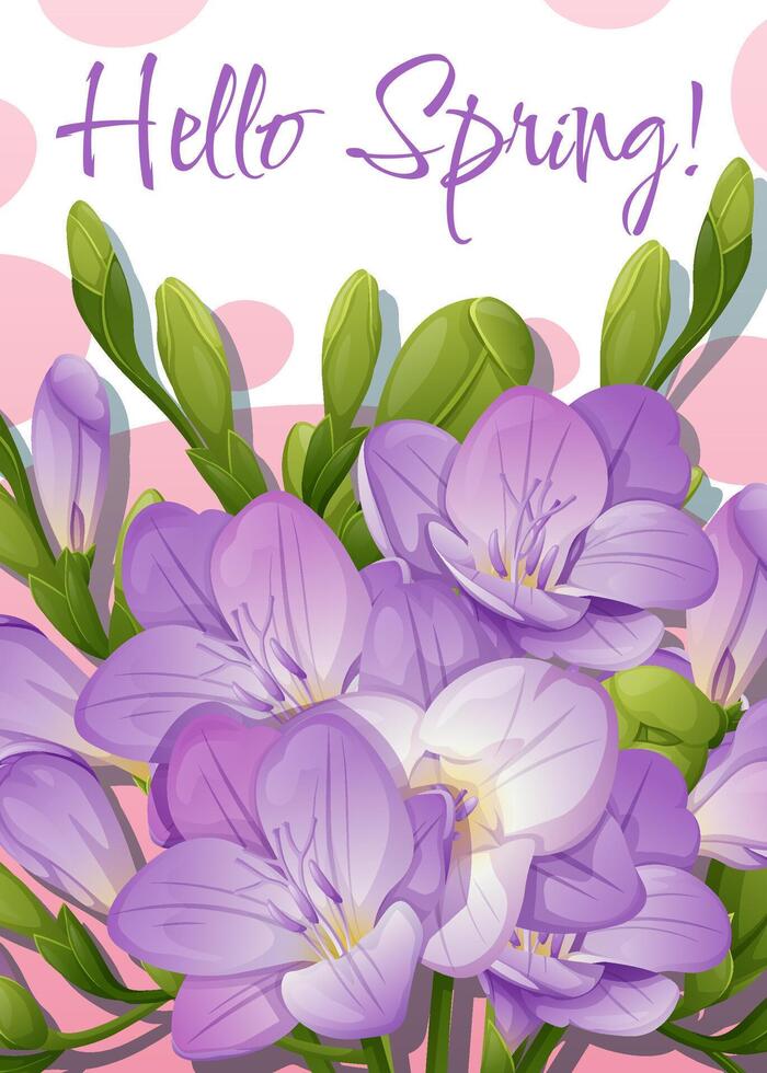 Greeting card template with spring flowers. Banner, poster with purple freesia. illustration of delicate flowers in cartoon style for card, invitation, background, etc. vector