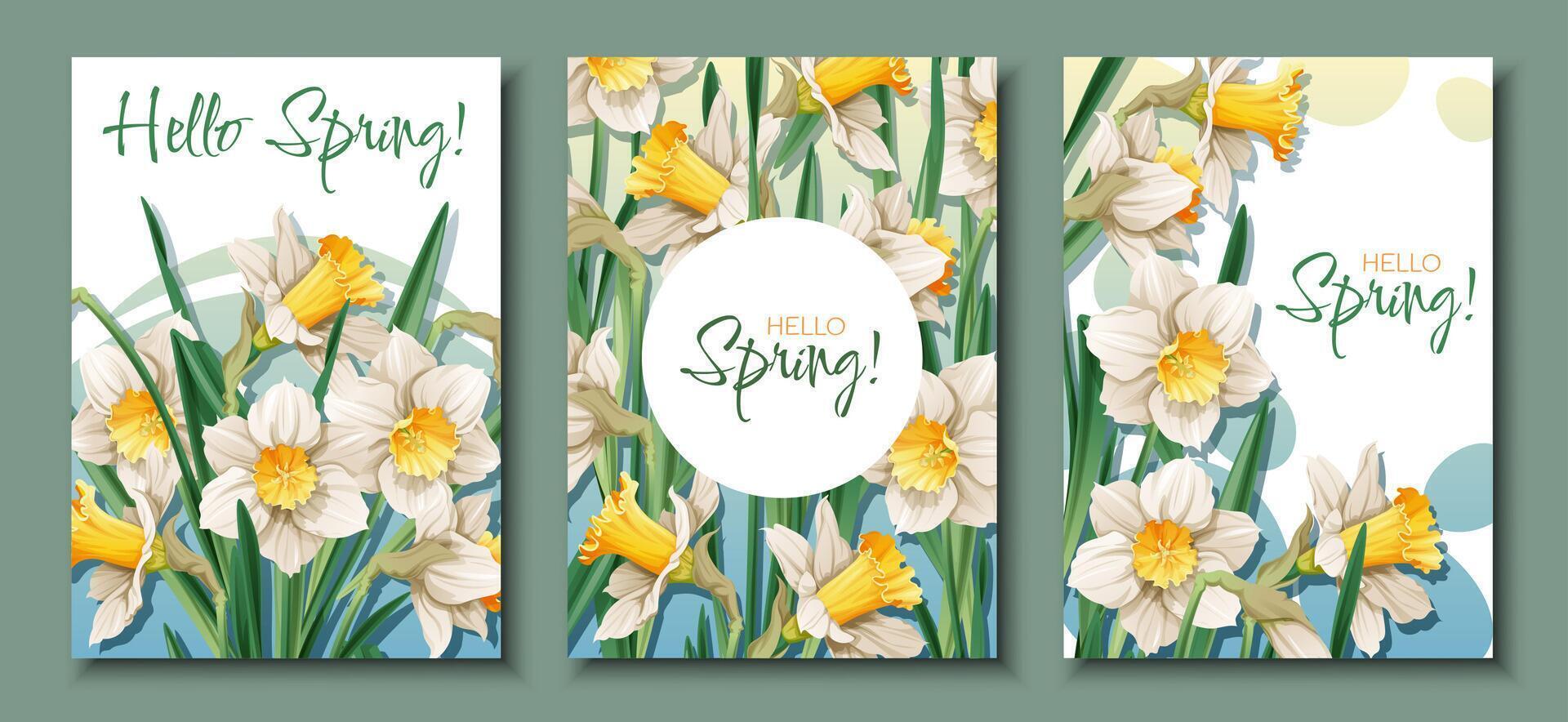 Set of Greeting card templates with spring flowers. Banner, poster with daffodils. Easter illustration of delicate flowers in cartoon style for card, invitation, background, etc. vector