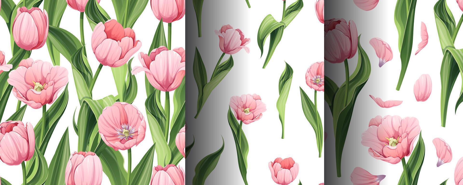 Set of Seamless patterns with spring flowers. Texture with pink tulips and petals. graphics. Great for wallpaper, fabric, cards vector