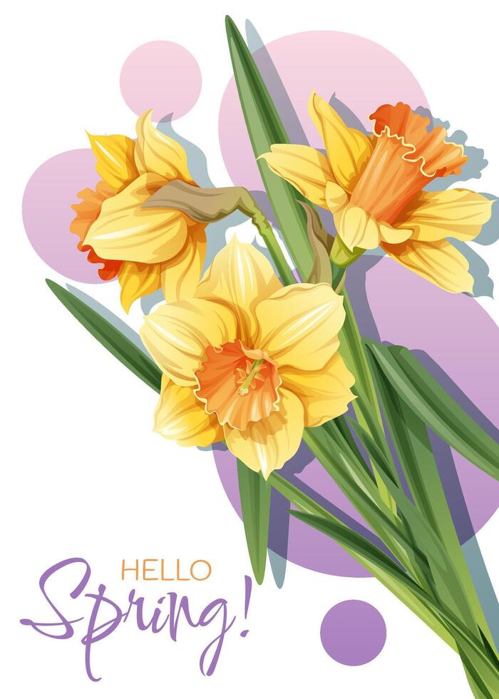 Greeting card template with spring flowers. Banner, poster with daffodils. Easter illustration of delicate flowers in cartoon style for card, invitation, background, etc. vector