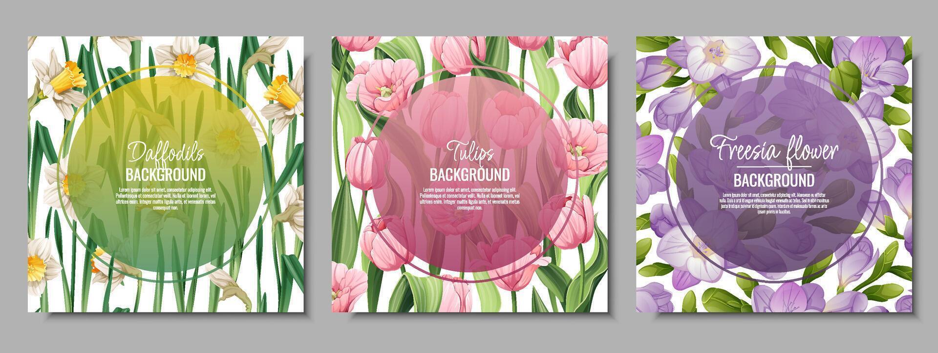 conjunto de bandera plantillas con primavera flores tarjeta postal, póster con tulipanes, narcisos, fresia ilustración de delicado flores en dibujos animados estilo para tarjeta, invitación, fondo, etc. vector