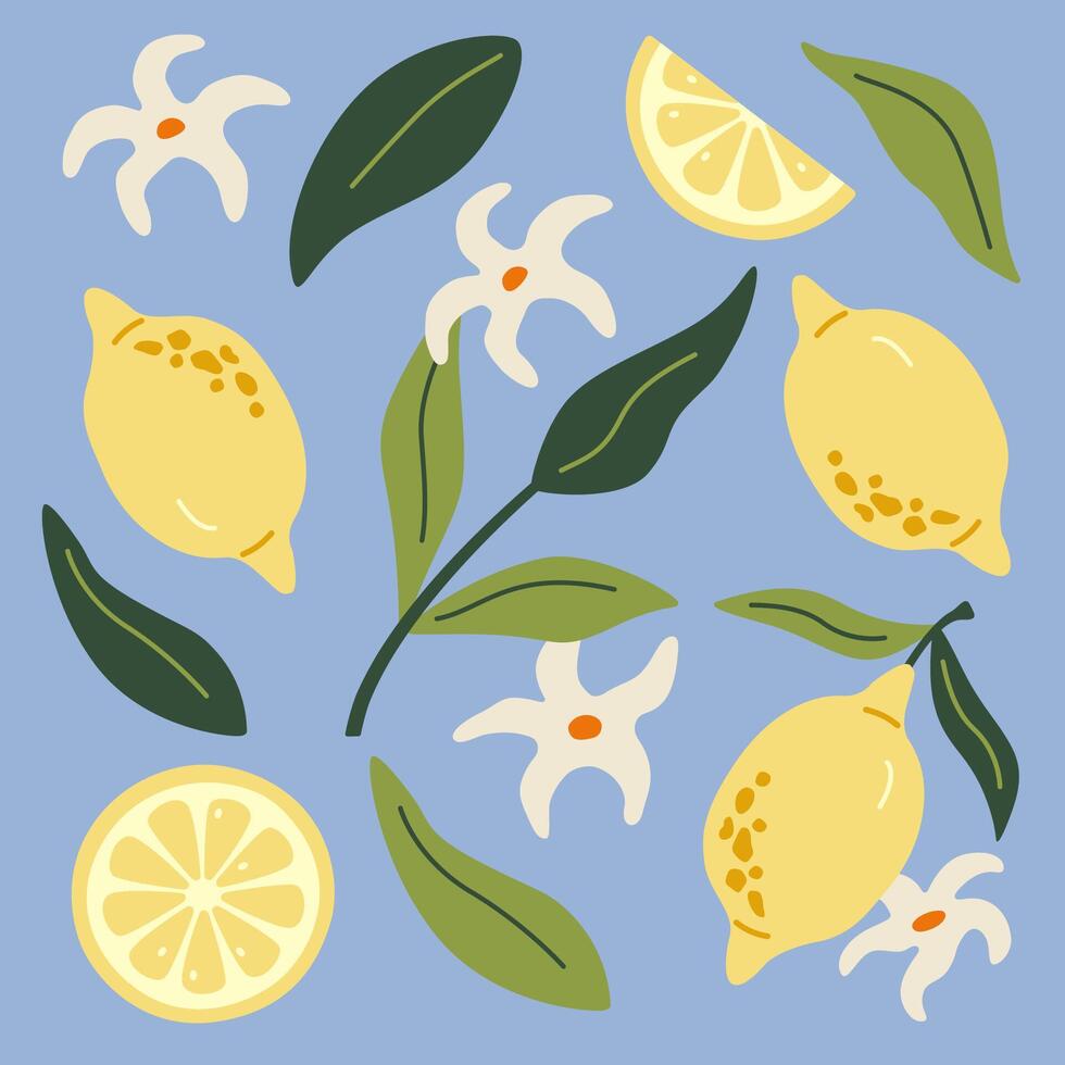 Modern abstract illustration lemon with leaves. Modern art print. Set of citrus tropical fruits. Summer design. vector