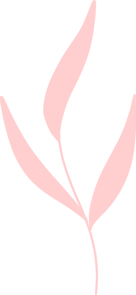 Organic boho shape, blob shape simple doodle line art png