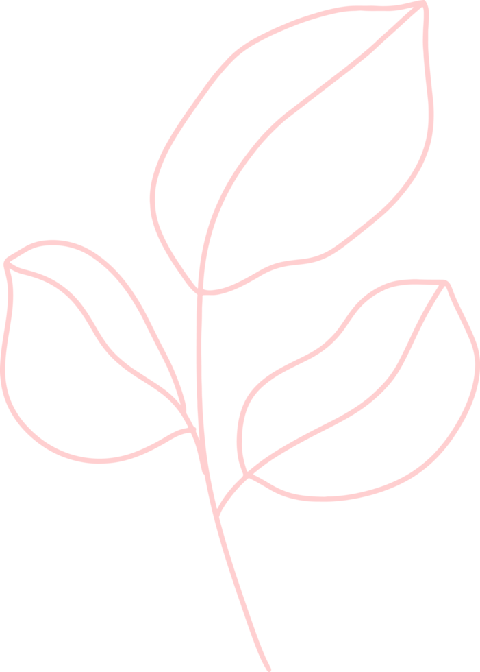 Organic boho shape, blob shape simple doodle line art png