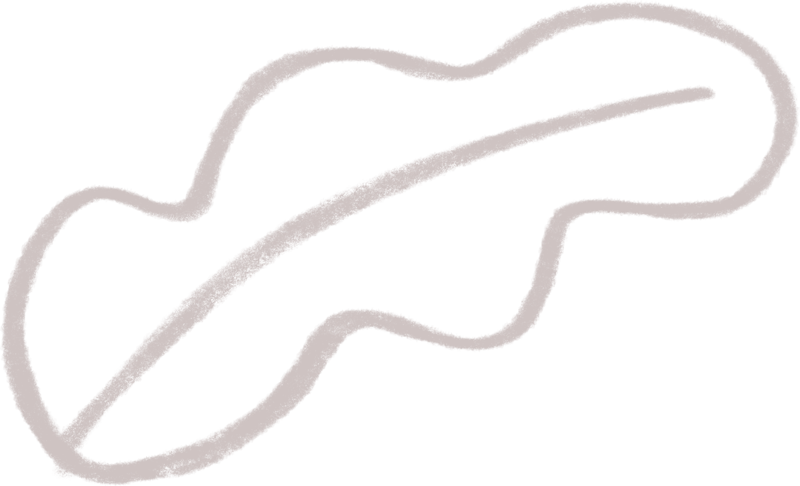 Organic boho shape doodle Line handdrawn decor, organic blob decor png