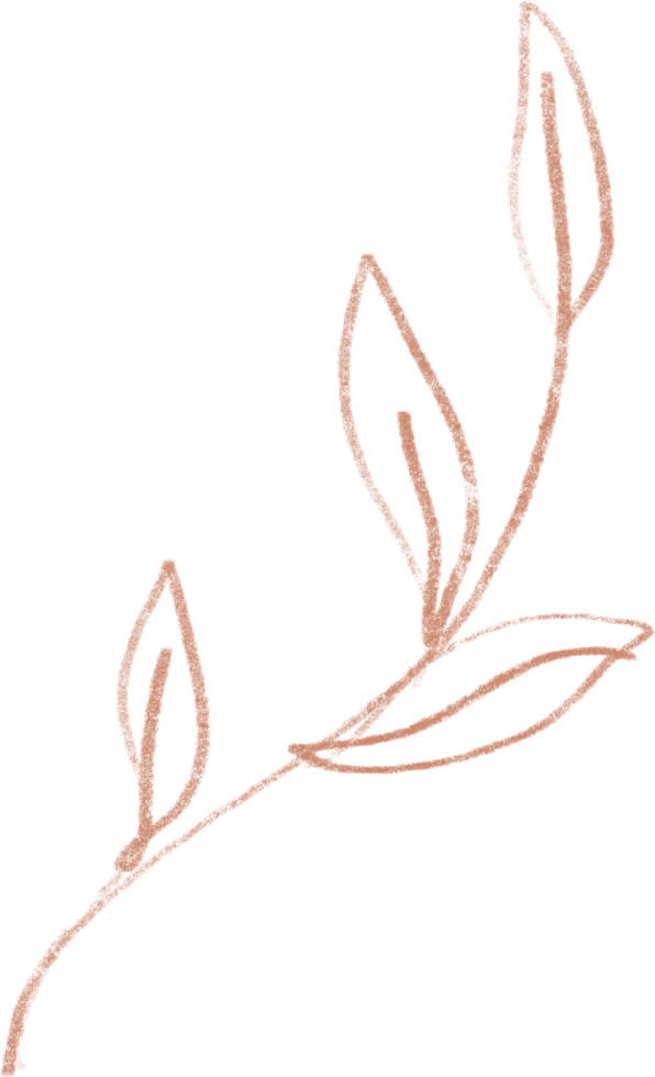 Organic boho shape doodle Line handdrawn decor, organic blob decor png