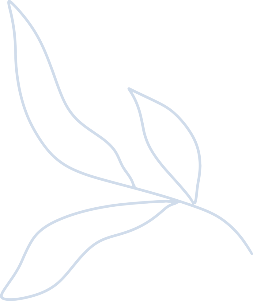 Organic boho shape, blob shape simple doodle line art png