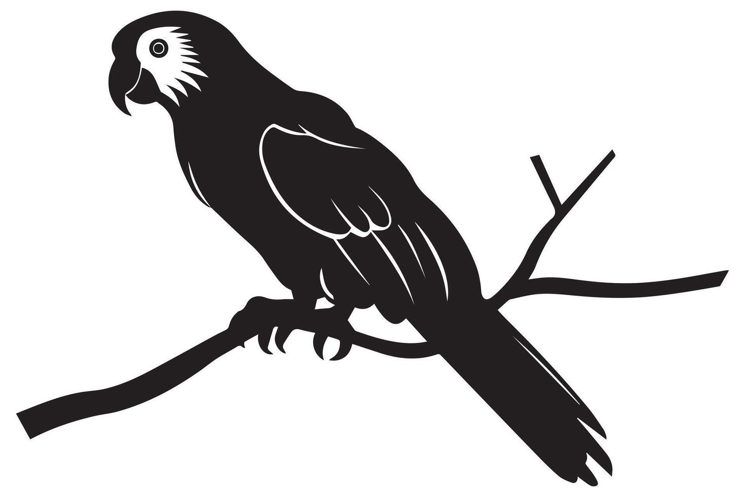 Parrot silhouette pro design vector