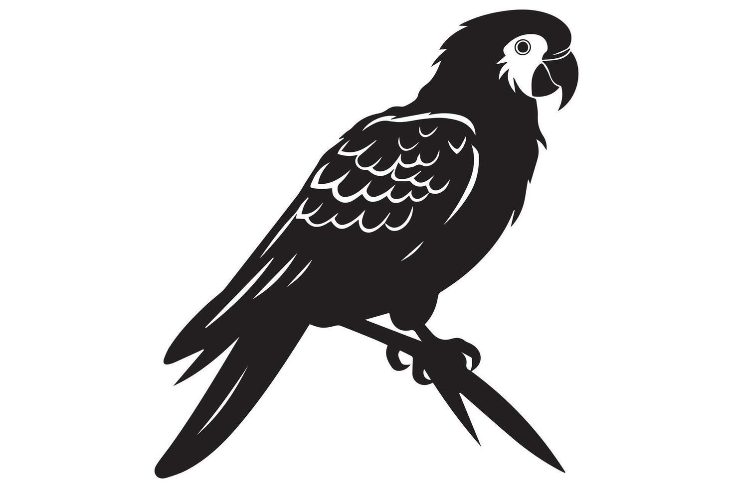parrot silhouettes pro design vector