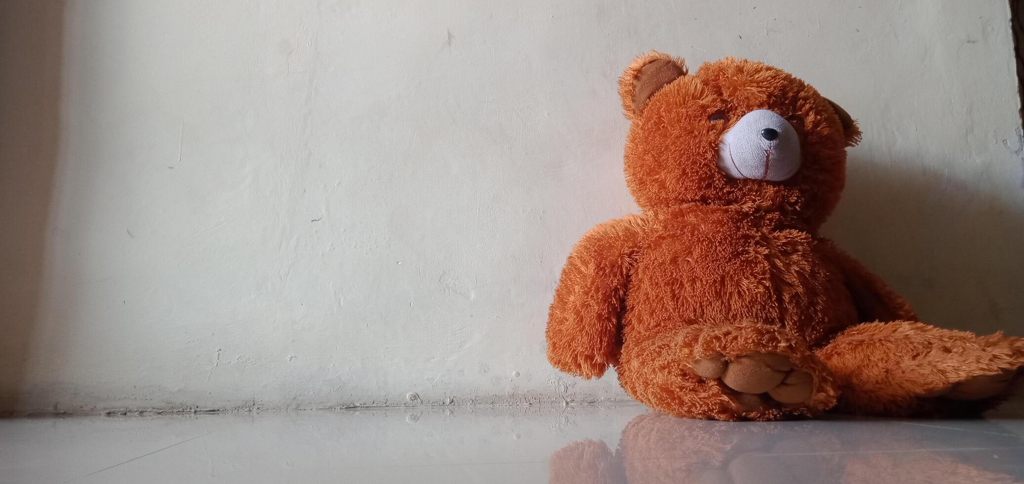 Brown teddy bear doll photo