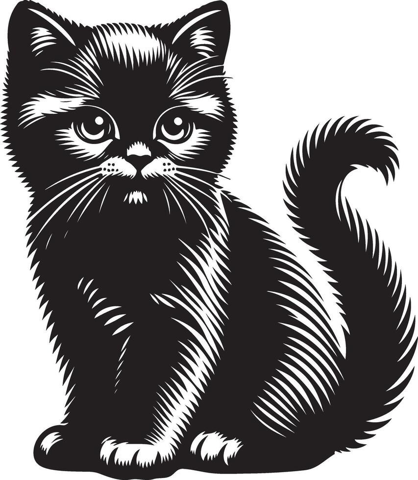 gatito, negro color silueta, negro color silueta vector