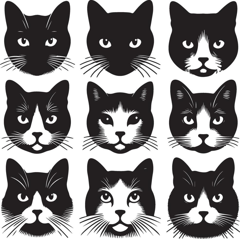 gato rostro, siluetas , negro color silueta vector