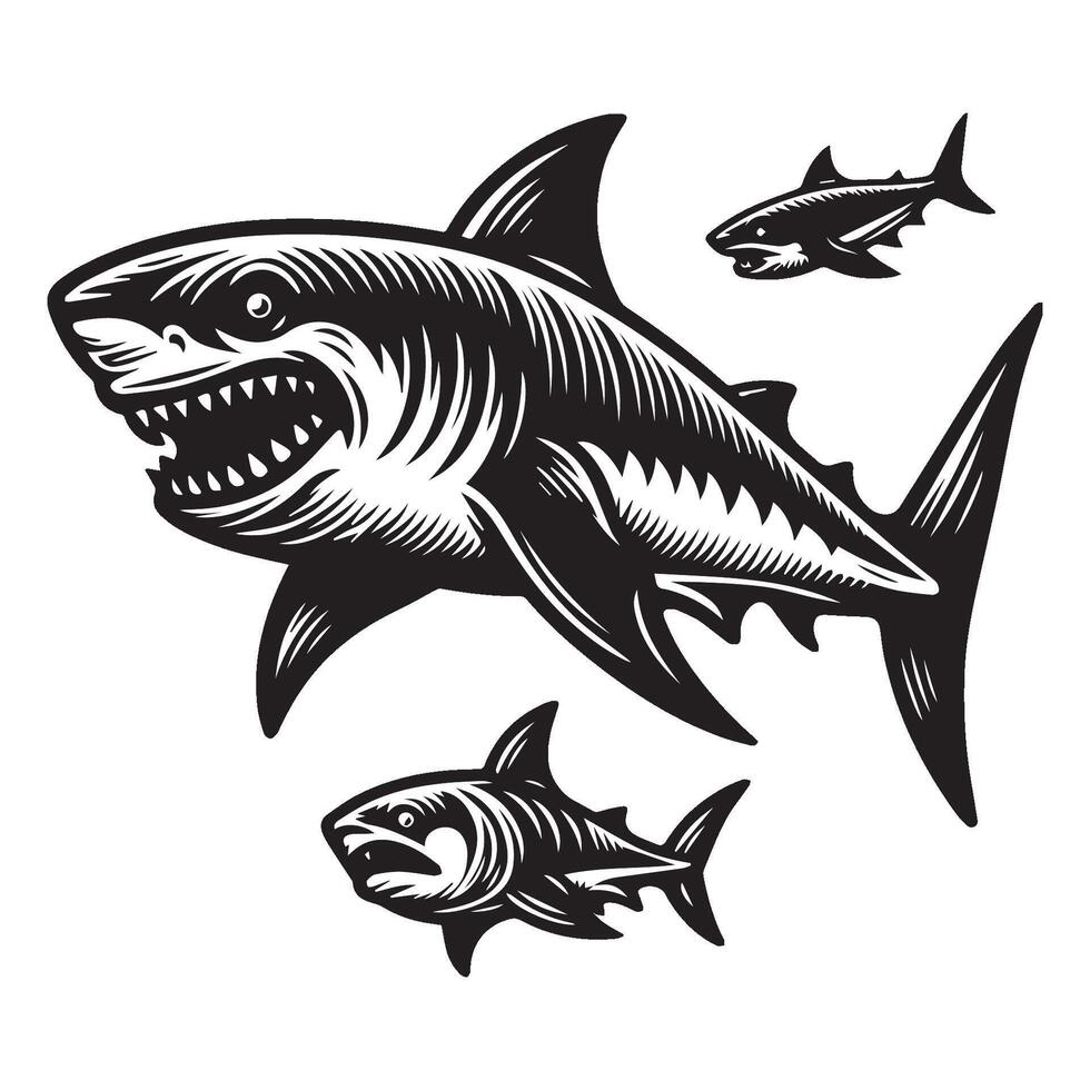 Black and white shark silhouette vector