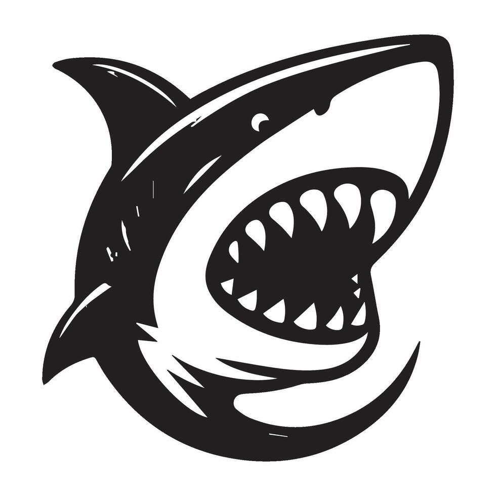 Shark of a shark vector