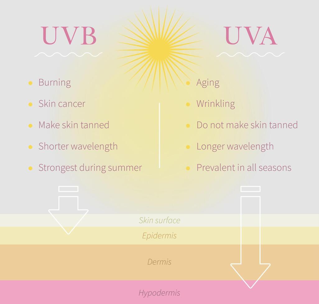 the difference between uvb and uva vector