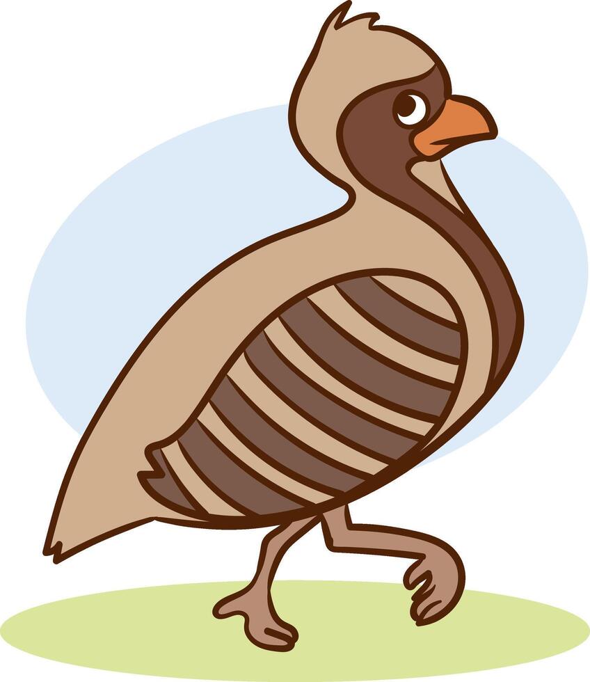 Funny cuty brown california quail sticker or icon isolated on white. Wild partridge bird illustration outlined with dotted line for game counters, kids books vector