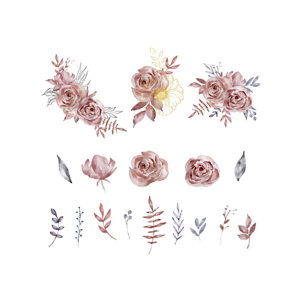 Watercolor set of bouquets dark roses vector