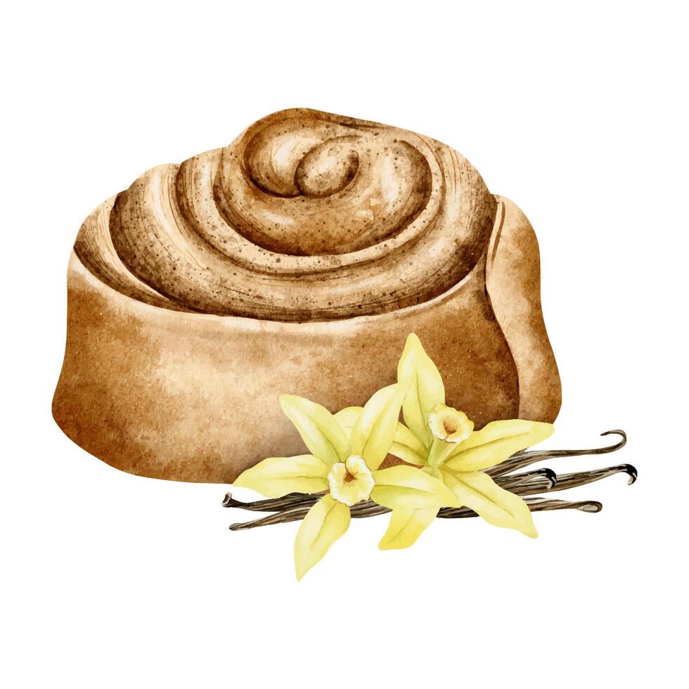 Spiraled Cinnamon Roll, vanilla flowers and pods. Watercolor isolated hand drawn illustration. Sweet puff pastry bun for label, packaging, card, for bakehouse, bakeshop, food bloggers vector