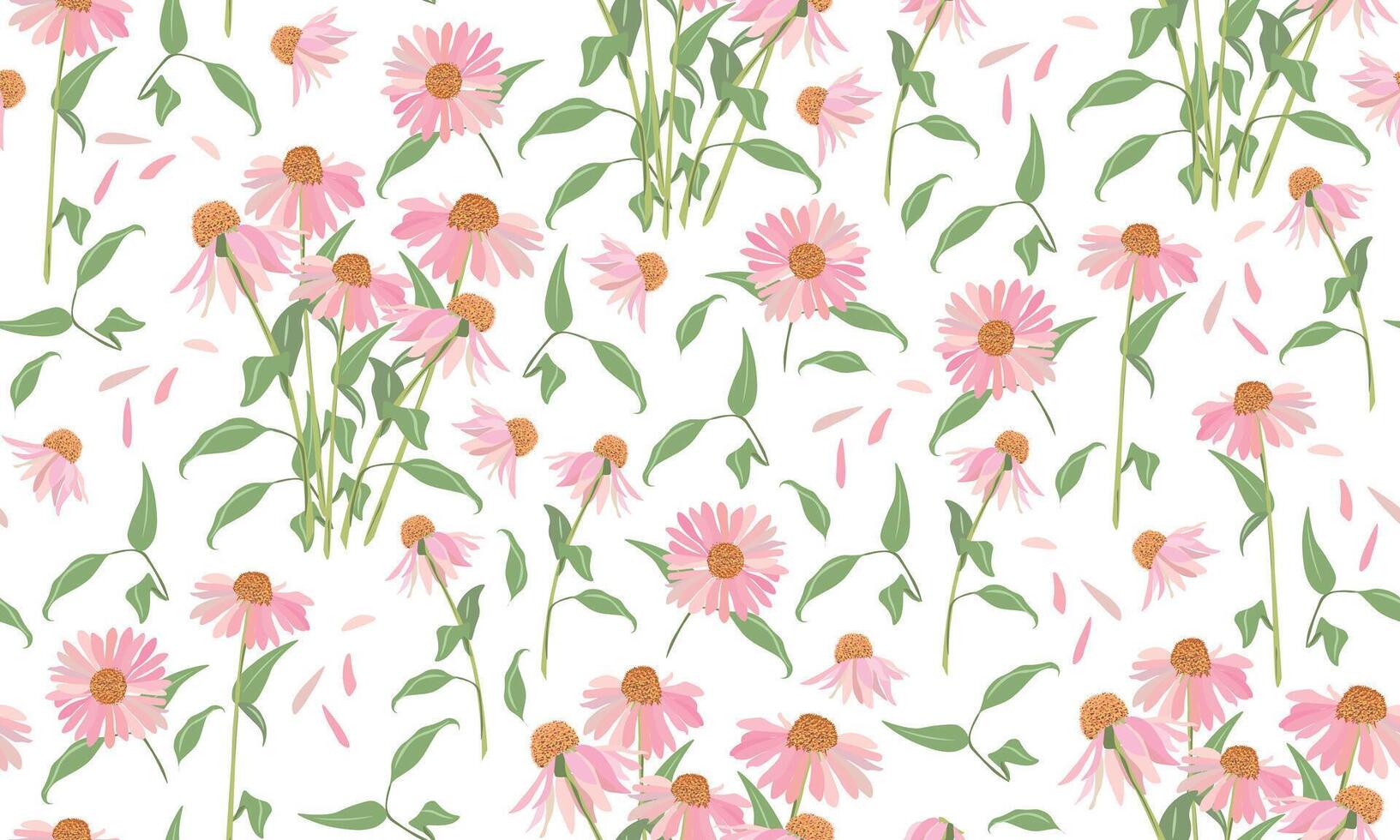 pink flowers of echinacea gerbera pattern vector