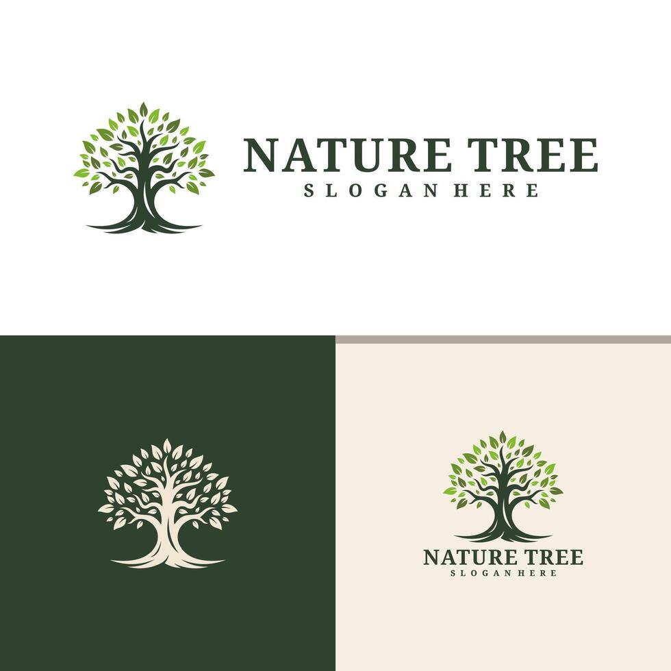 Tree logo design . Nature trees illustration. vector