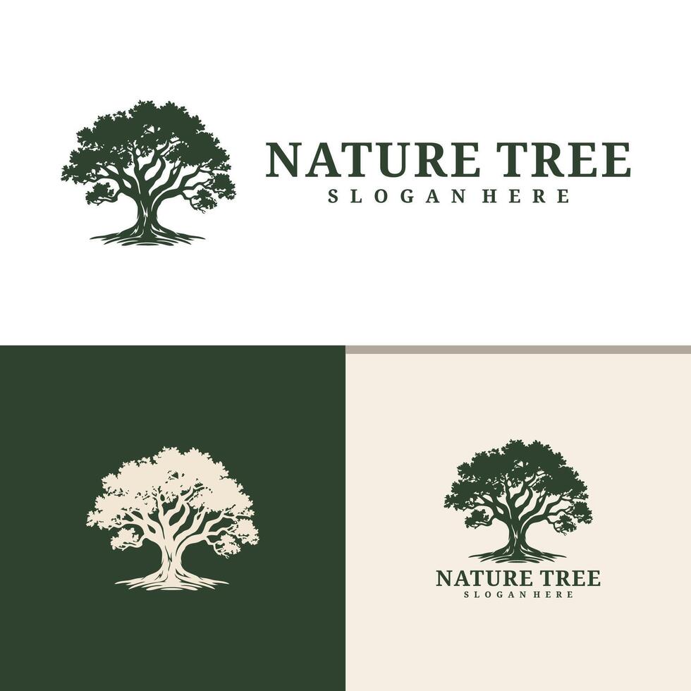 Tree logo design . Nature trees illustration. vector