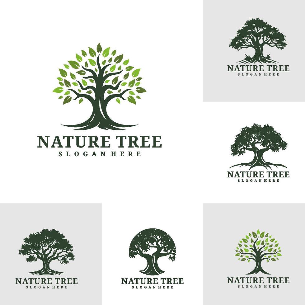 Set of Tree logo design . Nature trees illustration. Oak tree logo concept vector