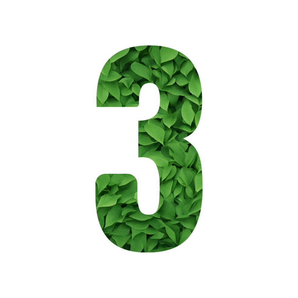 Leaf motif numbers with transparent background png