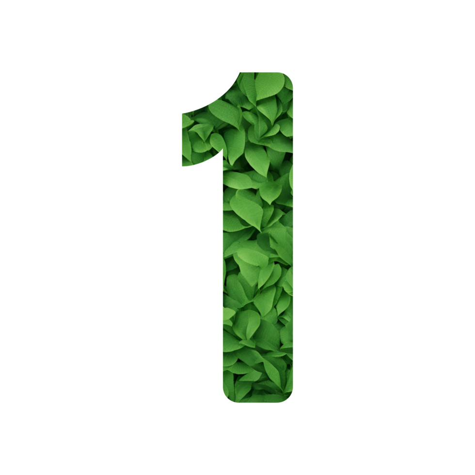 Leaf motif numbers with transparent background png