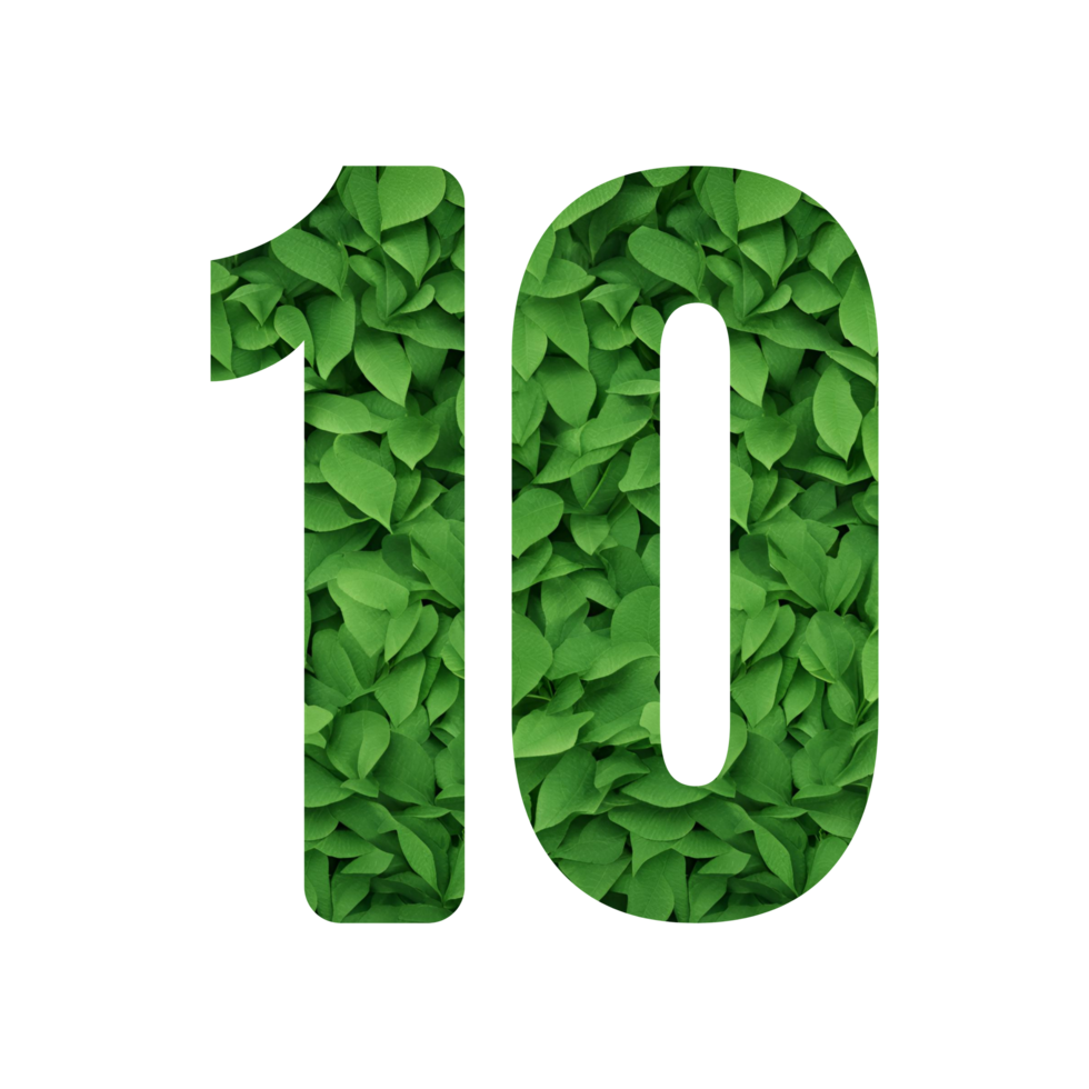 Leaf motif numbers with transparent background png