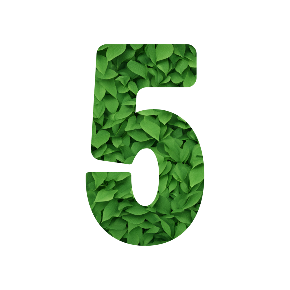 Leaf motif numbers with transparent background png