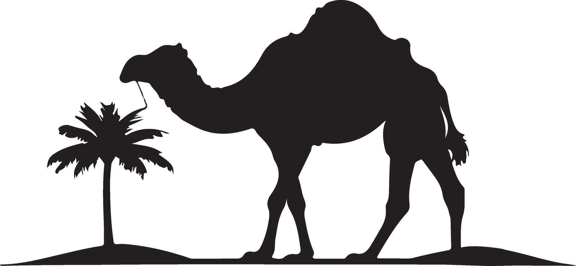 Flat design Camel silhouette,Camel graphic icon. Camel black sign isolated on white background. Camel symbol of desert. illustration vector