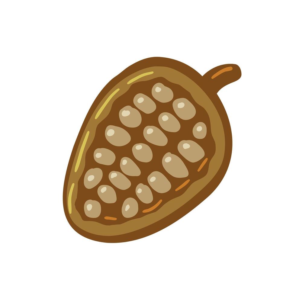 Cocoa beans flat illustration. Cartoon chocolate beans from cocoa tree. Natural nut and brown seed. Fruit sweet ingredient food on white background vector