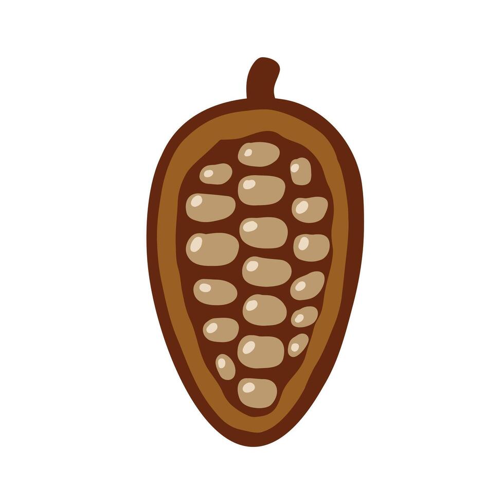 Cocoa beans flat illustration. Cartoon chocolate beans from cocoa tree. Natural nut and brown seed. Fruit sweet ingredient food on white background vector