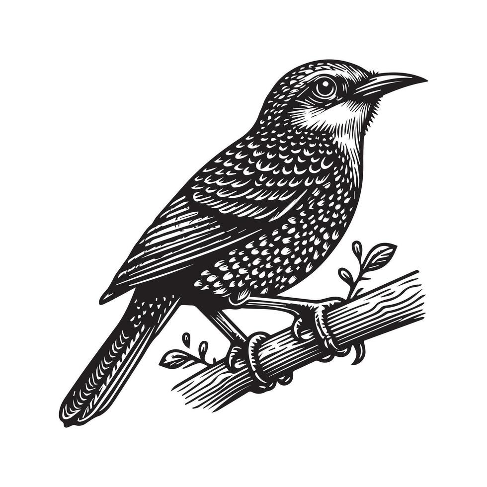 Bird silhouette flat illustration. vector