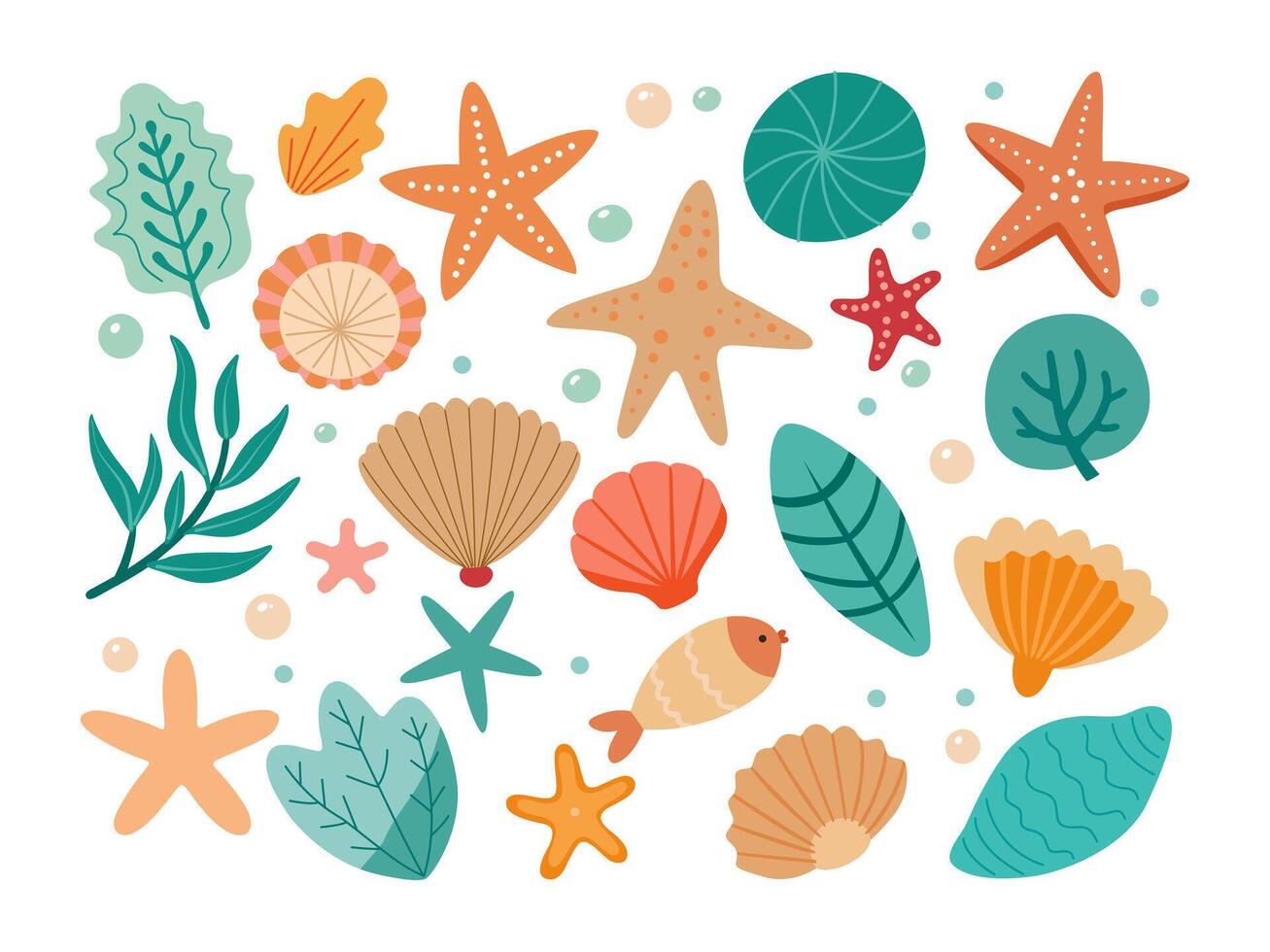 Set of colored sea shells, seaweeds and starfishes vector