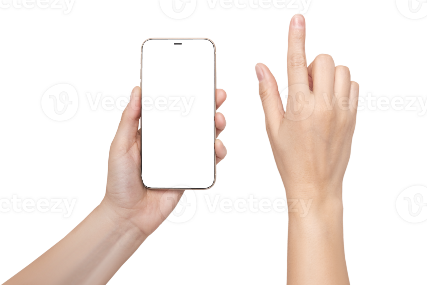 A womans hand holds a phone Mockup and the second hand with a finger presses a button or scrolls. Isolated on or transparent background png
