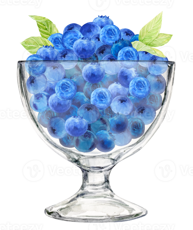 Fresh blueberries in a glass glass. Watercolor illustration for a postcard. A healthy dessert made from wild berries, a source of vitamins and antioxidants. Healthy huckleberry snack. png