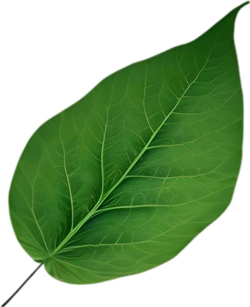 An image of a stylized leaf. AI-Generated. png
