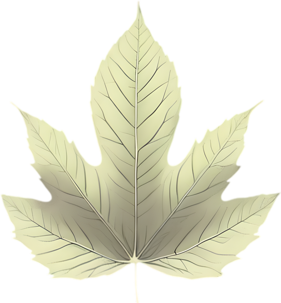 An image of a stylized leaf. AI-Generated. png