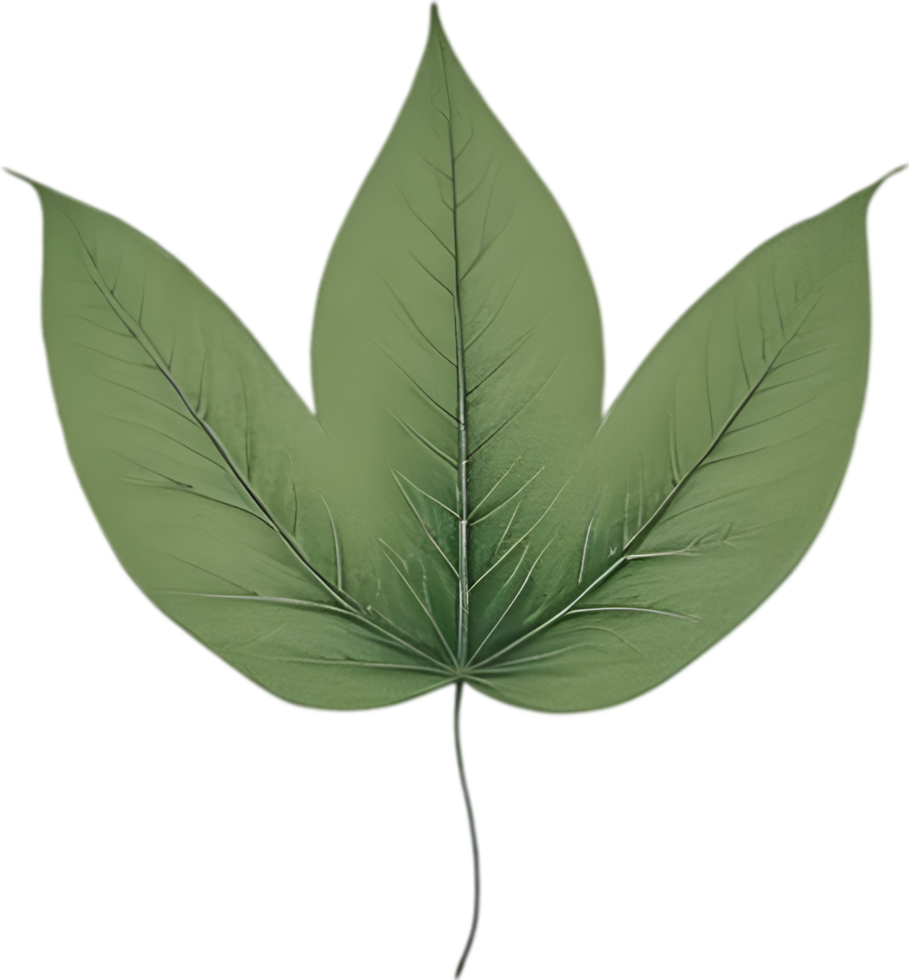 An image of a stylized leaf. AI-Generated. png