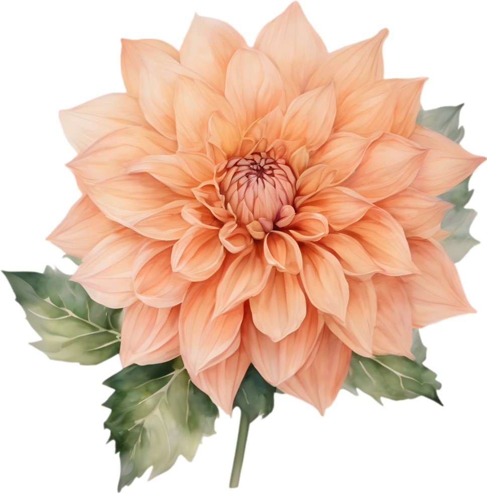 Close-up of a blooming dahlia flower. AI-Generated. png
