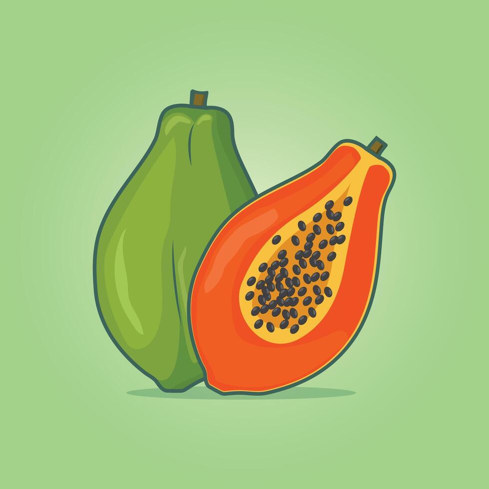 Summer tropical fruits for healthy lifestyle. Papaya fruit illustration. vector