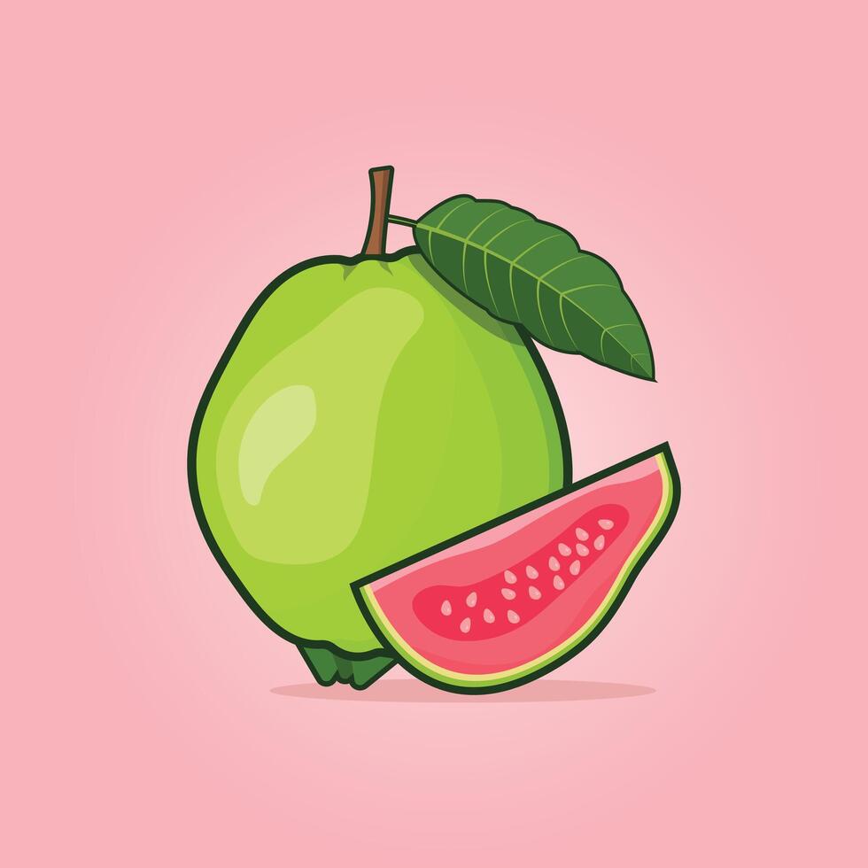 Summer tropical fruits for healthy lifestyle. Guava, whole fruit and half. Fruit illustration design vector