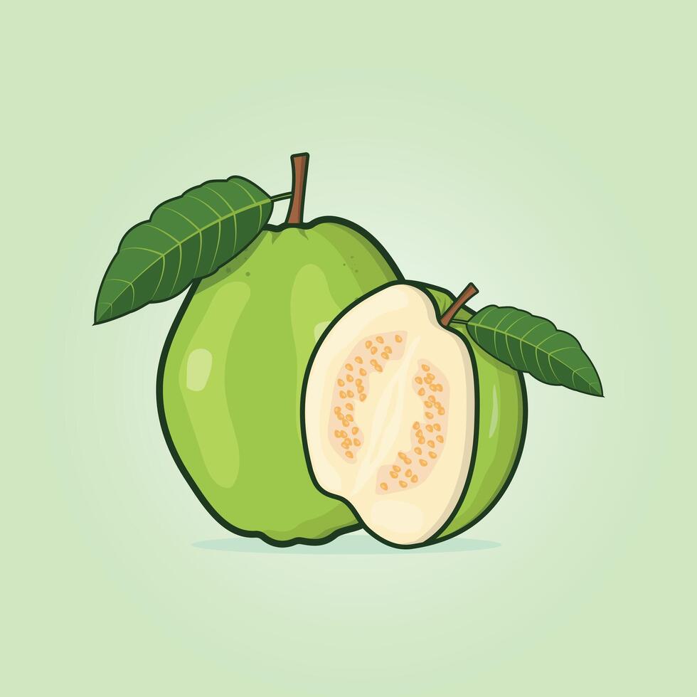 Summer tropical fruits for healthy lifestyle. Guava, whole fruit and half. Fruit illustration design vector