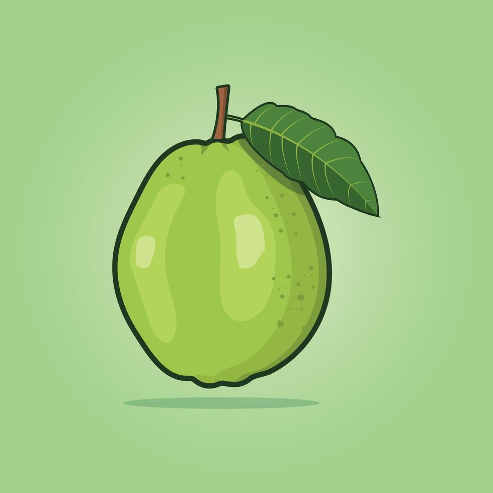 Summer tropical fruits for healthy lifestyle. Guava, whole fruit and half. Fruit illustration design vector