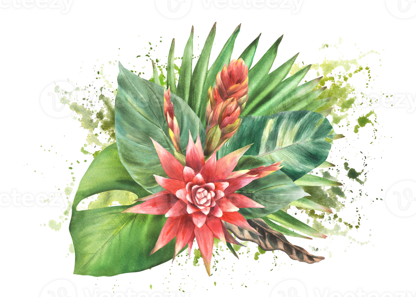 acuarela ilustración de tropical flores y verde hojas, rojo floraciones y lozano follaje mano dibujado clipart. exótico composición en manchas, salpicaduras, cepillo carrera antecedentes para tarjeta diseño. png