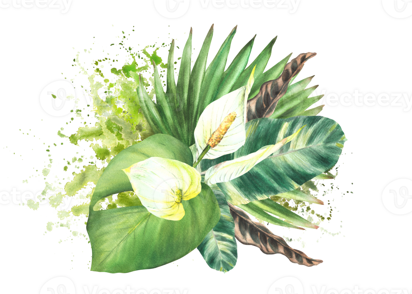 bukett av tropisk löv, vit blommor, handflatan blad på vattenfärg stänk fläckar bakgrund. Hem växt. exotisk knopp, djungel grönska ClipArt knippa hand dragen illustration png